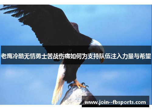 老鹰冷酷无情勇士苦战伤痛如何为支持队伍注入力量与希望 老鹰冷酷无情勇士苦战伤痛如何为支持队伍注入力量与希望
